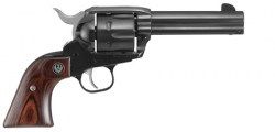 Ruger NV 34